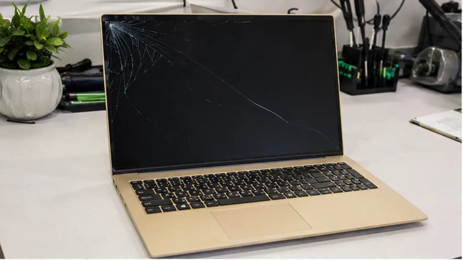 Laptop Repair Tampa repair case on the True One Fix workbench in Tampa