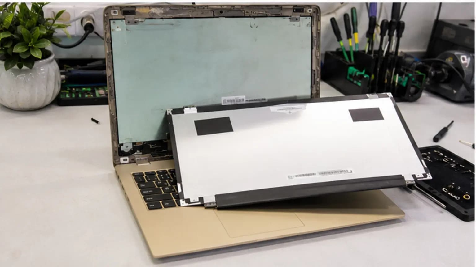 The Repair Process for Laptop Repair Tampa at True One Fix in Tampa